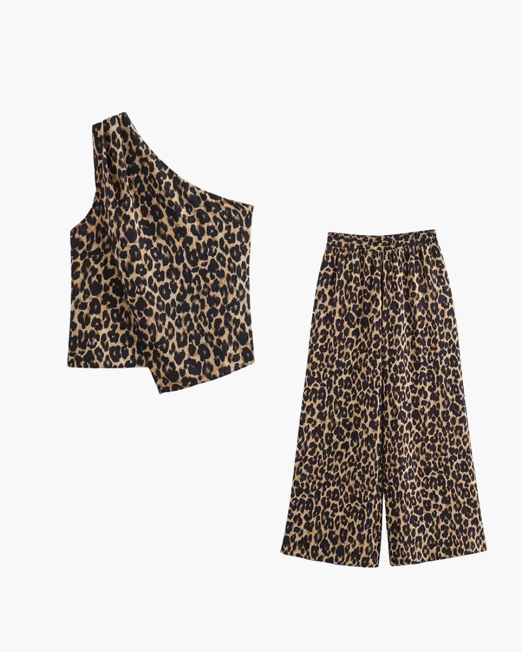 Retro 2-Delige Set met Panterprint voor Dames