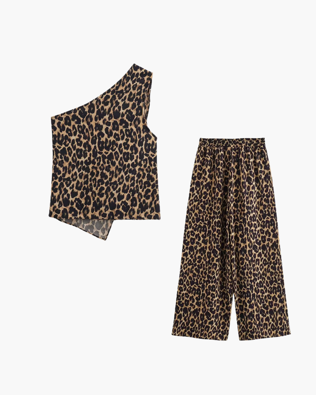 Retro 2-Delige Set met Panterprint voor Dames