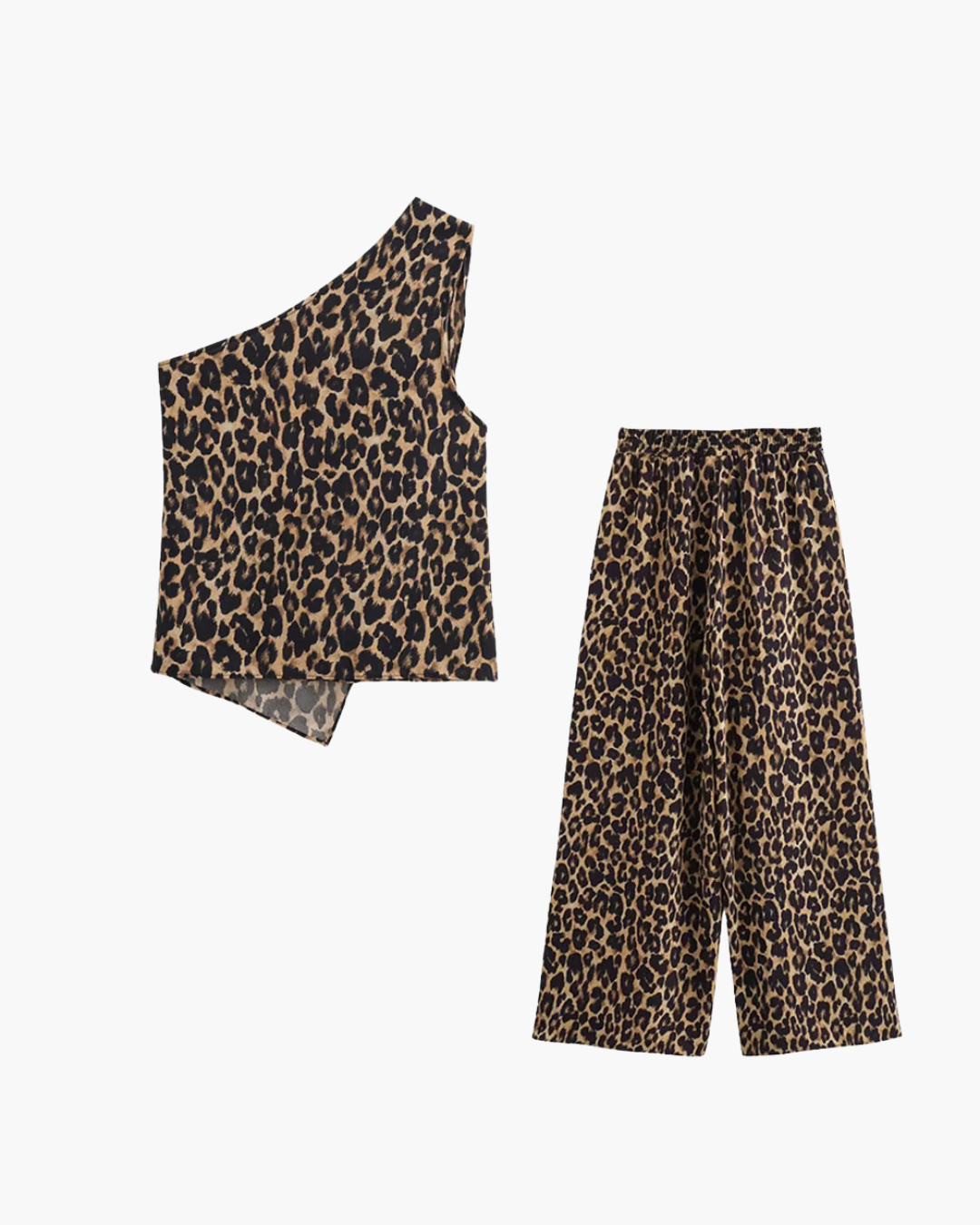 Retro 2-Delige Set met Panterprint voor Dames