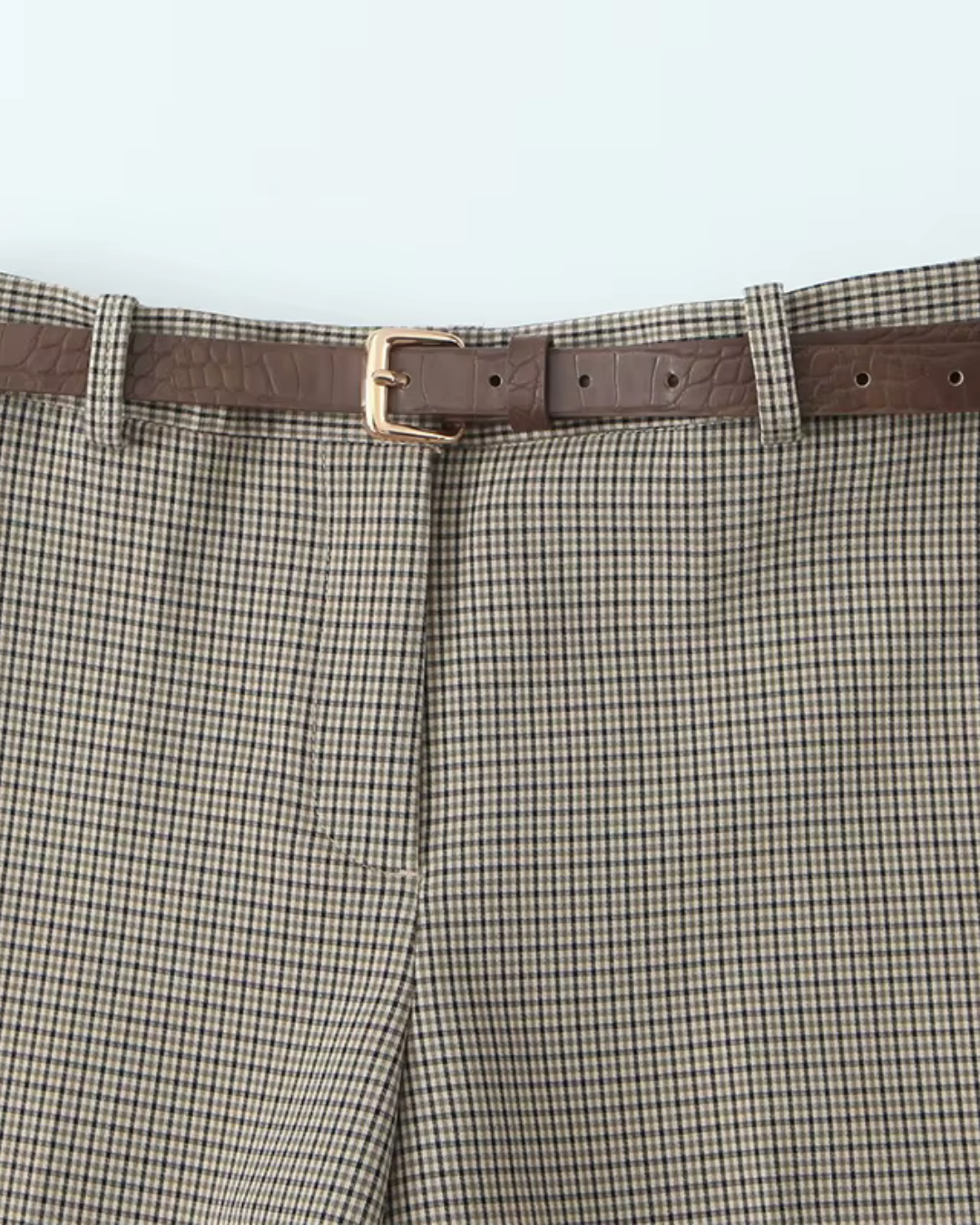 Geruite Hoge Taille Pantalon met Rechte Pijpen en Bijpassende Riem voor Dames