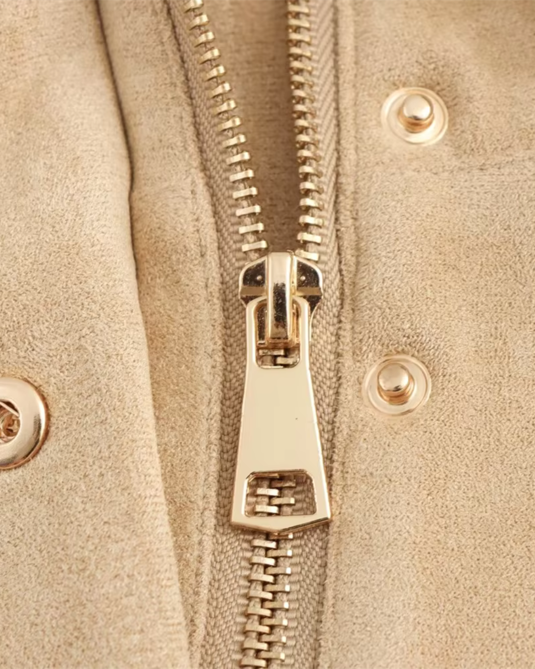 Damesjas met Hoge Kraag en Rits voor Dames